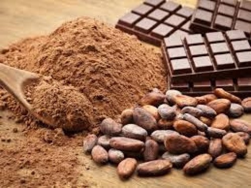 CHOCOLATE COCOA BEANS